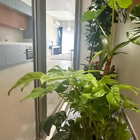 Renovated Center X3 Double Bed Flat